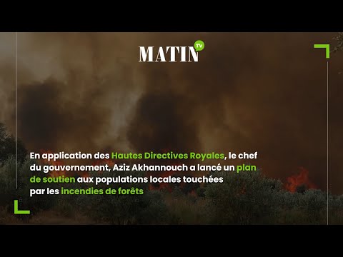 Video : Incendies de forêts : 290 millions de DH pour le soutien aux populations locales touchées