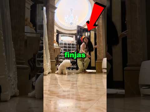 Nunca finjas un desmayo frente a tu perro ๐ฑ๐ณ #shorts