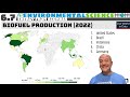 Environmental and Health Impacts of Biomass