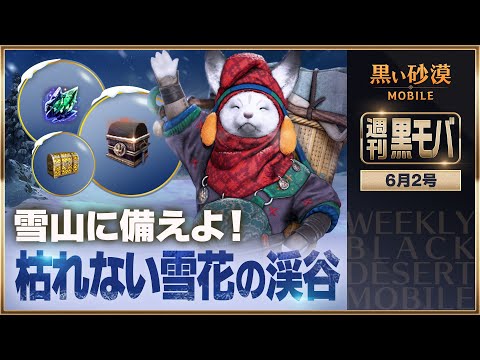 新地域での冒険が、ついに始まる！【黒い砂漠モバイル】【週刊黒モバ】