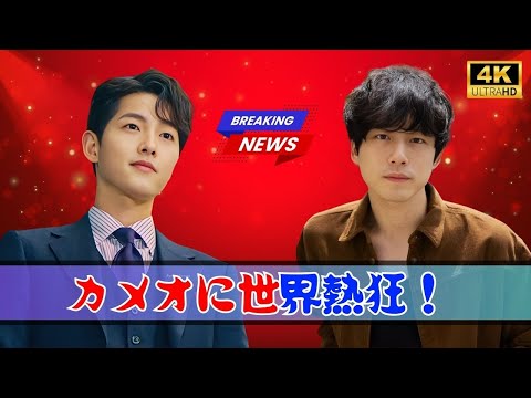 匿名の恋人たち』話題沸騰🔥坂口健太郎&ソン・ジュンギ“カメオ共演”に感動の声続出!「続編を期待 | #坂口健太郎 | #ソンジュンギ | #匿名の恋人たち