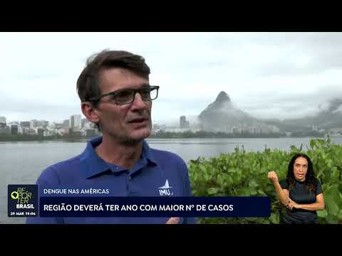Dengue nas Américas: Região deverá ter ano com maior número de casos