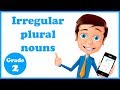 Exploring Irregular Plural Nouns for Grade 2