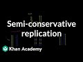 Exploring Semiconservative Replication in Biomolecules