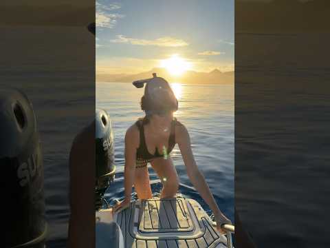 J’ai nagé avec les dauphins à l’île Maurice 🐬