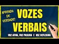 Understanding Verb Voices in Portuguese