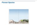 Ecosystem Changes and Succession Concepts