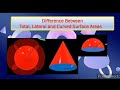 Understanding Surface Areas of 3D Objects