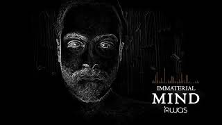 Immaterial Mind - nuwas (Melodic House and Techno/ Progressive House Mix)
