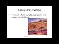 Conservation and Biodiversity Challenges