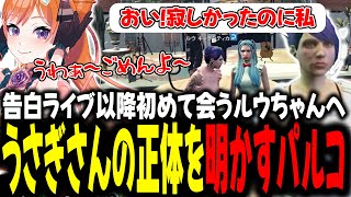 告白ライブ以降初めて会うルゥちゃんへうさぎさんの正体を明かすパルコ【#切り抜き/#うさぎさん/#山田パルコ/#ストグラ 】