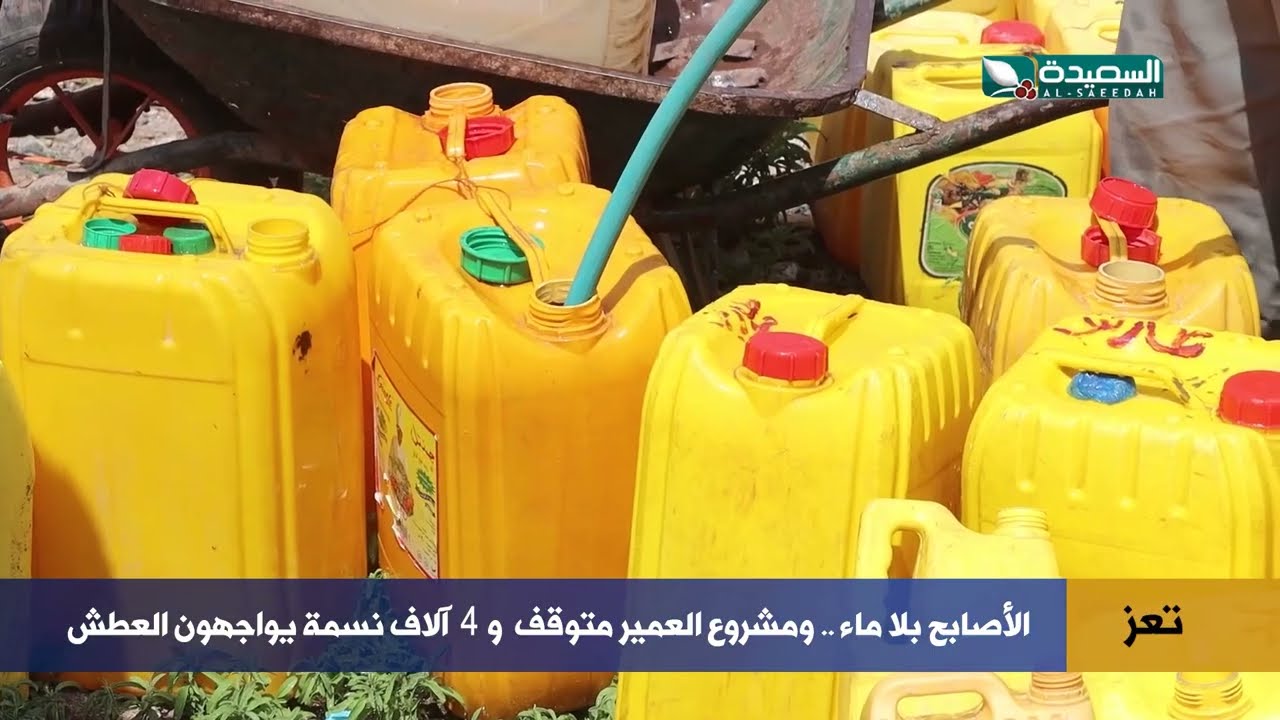 قناة السعيدة