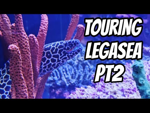 TOURING LEGASEA PT2 