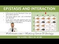 Genetic Interactions and Phenotypes