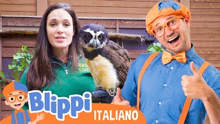 Blippi celebra la Giornata del Gufo! 🦉🎉 | Blippi in Italiano | Video educativi per bambini