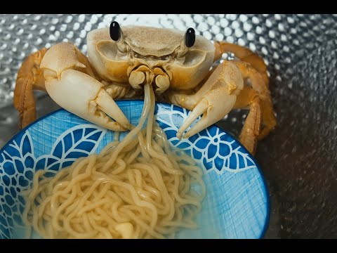 Crab Eating Noodles & Coca-Cola | Funny & Relaxing ASMR