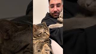 He’s been jealous from day 1! #dontstopmeowing #family #youtubeshorts