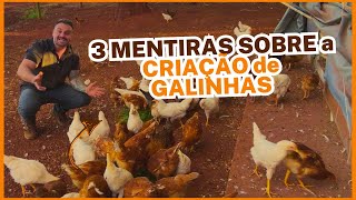 3 MENTIRAS SOBRE A CRIAÇÃO DE GALINHAS POEDEIRAS que VOCÊ PROVAVELMENTE ACREDITA!