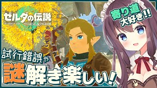 【ティアキン】発見だらけの寄り道大好き！初見【ゼルダの伝説ティアーズオブザキングダム 女性実況 Vtuber なちゅモカ】122