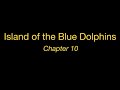 Protagonist's Journey in Island of the Blue Dolphins