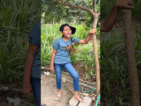 Cupi engga ada bayangannya