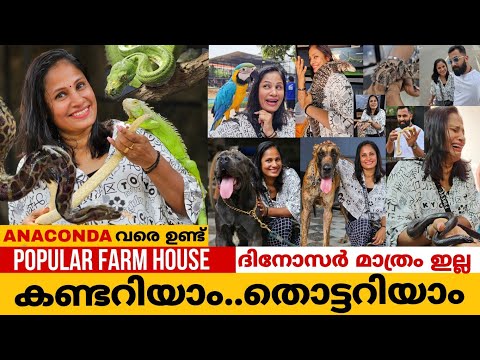 😱നിങ്ങൾ ഇവിടെ ഒരു തവണയെങ്കിലും വരണം🤩POPULAR FARM HOUSE|Trivandrum #thaadiyumpottum #family #vlog