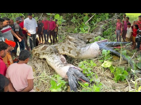Nakakakilabot na Natagpuan sa Gubat na Hindi Kayang ipaliwanag ng mga Tao!