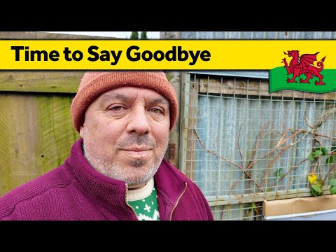 185. Time to Say Goodbye - Living Alone in Wales (December 2024)
