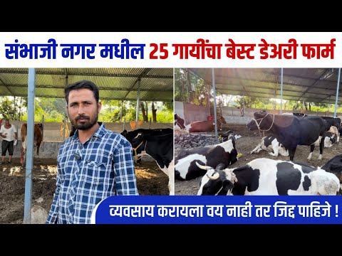 संभाजी नगर मधील 25 गायींचा उत्तम नियोजन असलेला गोठा | दररोज 250 लिटर दूध | एकदा हा व्हिडिओ नक्की पहा