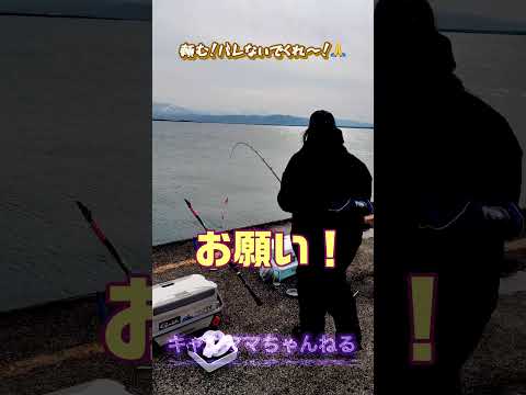 堤防からギガアジ狙ったら…まさかの展開！#ギガアジ#アジ釣り#堤防釣り#遠投カゴ釣り#釣りガール#釣り初心者#釣り好き#爆釣#釣り動畫#大物釣り#ハッピーフィッシング＃直江津港第３東防波堤管理釣り場