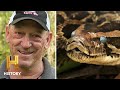 Python Hunting Challenges and Facts