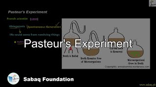 Pasteur's Experiment