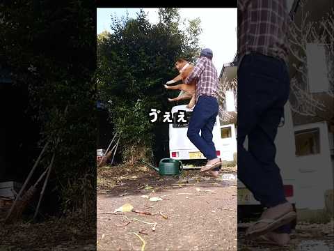 畑戻りのルーティン。