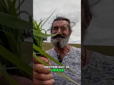 Cattle eat bacteria steaks. Watch the full video to make sense of it.