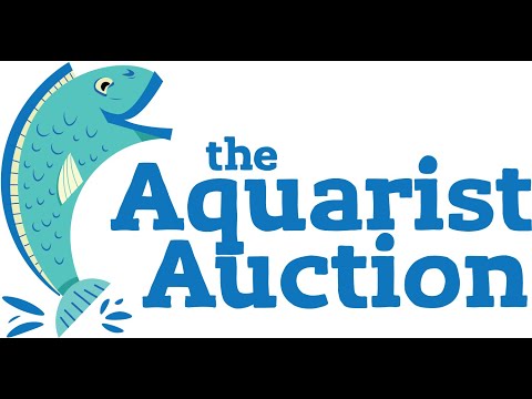 Aquarist Auction unboxing 2!! @FoxiesFishes @Pepli Foxie and Peplins Get gills_ https_//getgills.com/store.product/Peplin_Creek_Aquatics