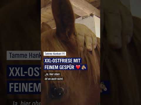 Knochenbrecher Tamme Hanken #ndr #doku #nordreportage #knochenbrecher #tammehanken