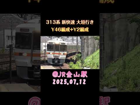 313系 新快速 大垣行き Y46編成+Y2編成 ＠JR金山駅 2025.07.12 #shorts