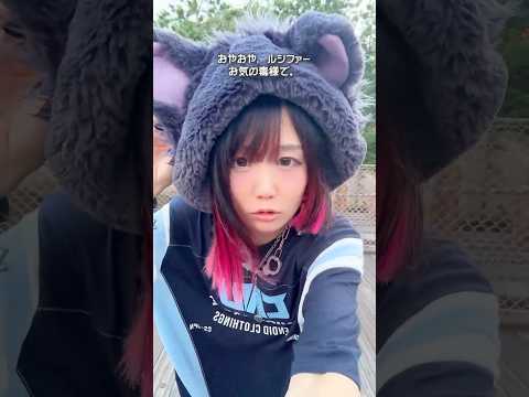このルシファーの音源可愛い…。ディズニーのルシファーグッズが最高だったのでシンデレラの曲で撮ってみた！ #shorts #disney #halloween #cinderella