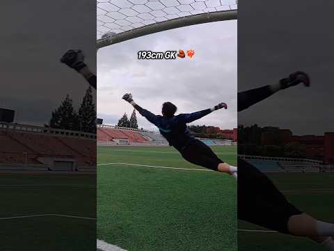 193cm 놀라운 다이빙❤️🔥🧤 #골키퍼 #football #soccer #goalkeeper #goalkeepertraining #유소년축구 #축구