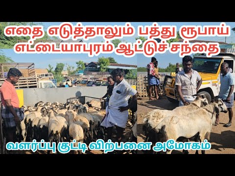 ## திருவிழா போல் காட்சியளிக்கும் எட்டையாபுரம் ஆட்டுச் சந்தையின் நிலவரம்..