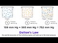 Gas Laws and Partial Pressures