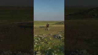 From the lens of a satellite to the prairie #shorts #canada