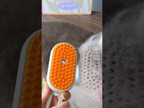 Pet brush#foryou #cute #catlike #cleaning #clean #cat #satisfactory #shorts #animals #youtubeshorts