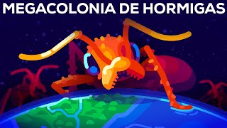 La megacolonia de miles de millones de hormigas y la mayor guerra de la Tierra
