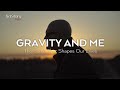 Understanding Gravity