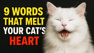 9 Words That MELT Your Cat’s HEART ❤️ They’ll LOVE You More!