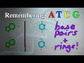 Nucleotide Pairing and Structure