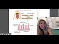 Digestive System Nutrient Absorption