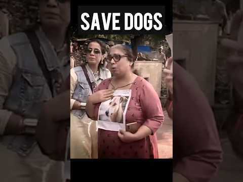 Save Dogs #short #dogs #trending