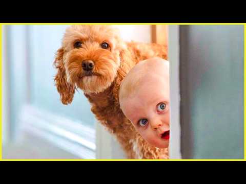 Baby And Dog Are Best Friend! Cute Baby Play With Dog || Peachy Vines